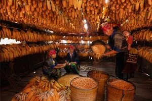 Ethnie Vietnam : rencontres avec les tribus vietnamiennes