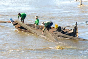Fishing during the flood season in the Mekong Delta