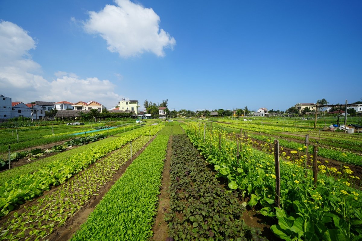 A Sustainable Tourism Model in Central Vietnam