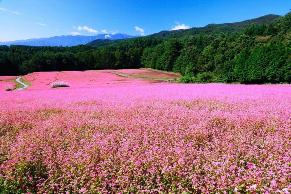 Best Time to Visit Meo Vac