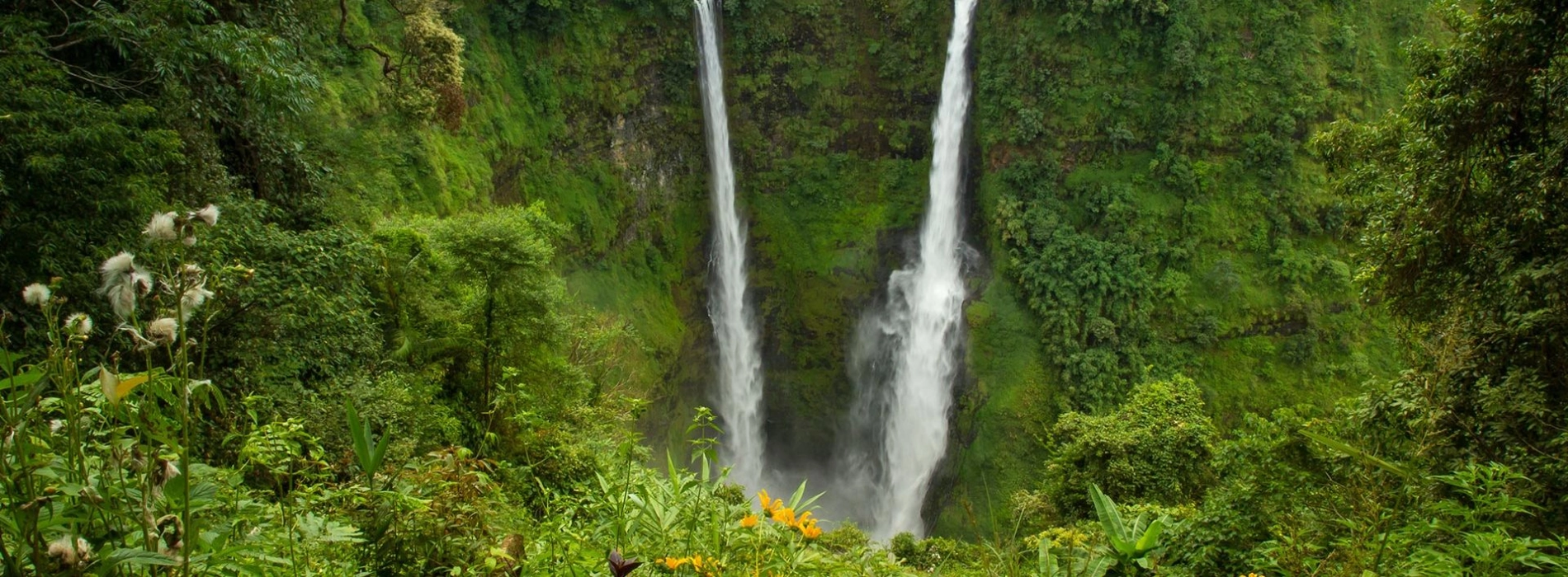 Bolaven Plateau An Off-the-Beaten-Path Adventure in Southern Laos