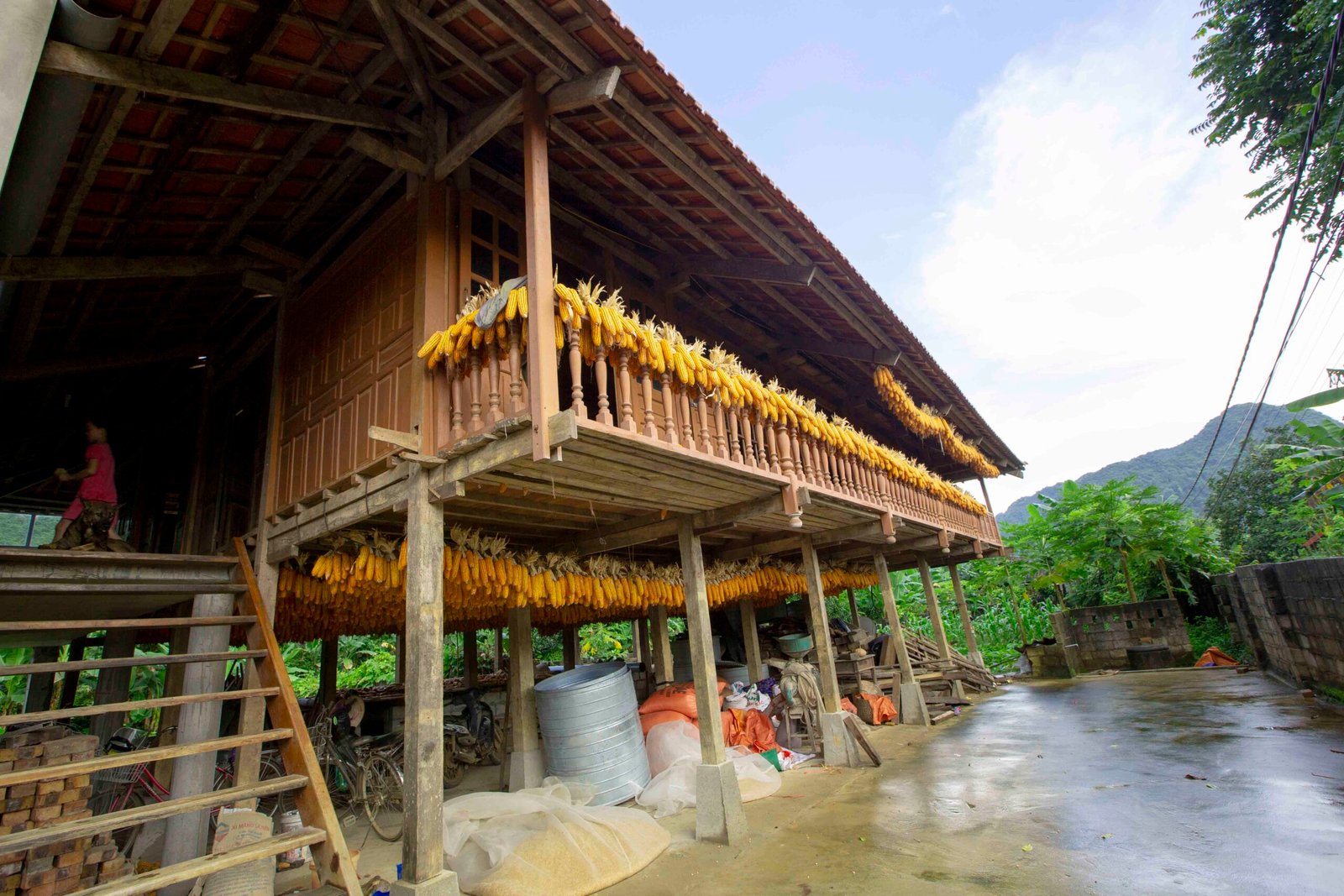 Culture and Traditions of the Tay