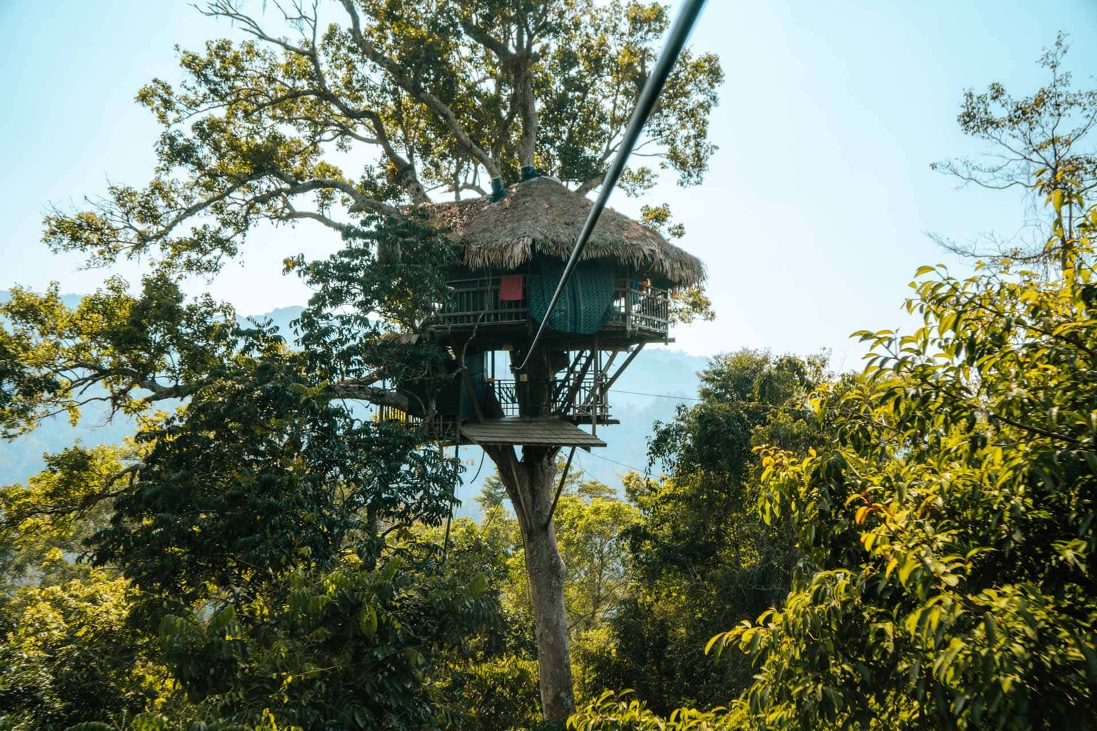 Gibbon Experience Your Adventure in the Wild Jungle of Laos