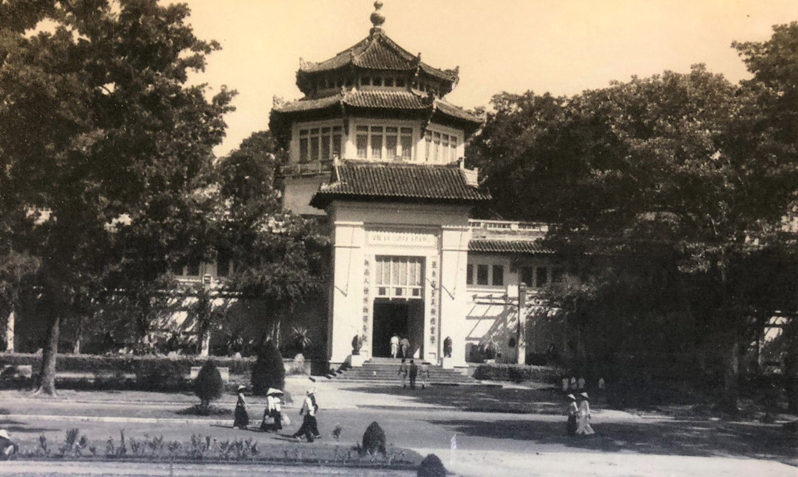 Museums and Cultural Preservation