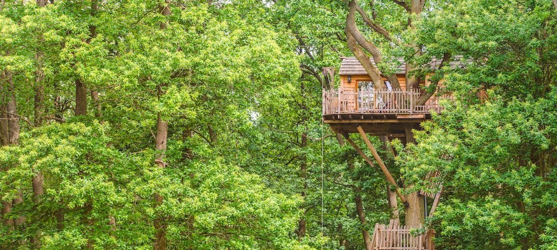 Sleeping in the Treetops