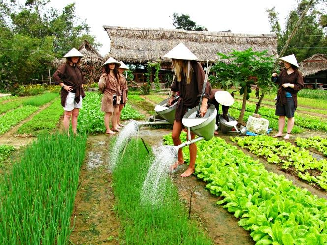 Activities at Tra Que: From Garden to Table
