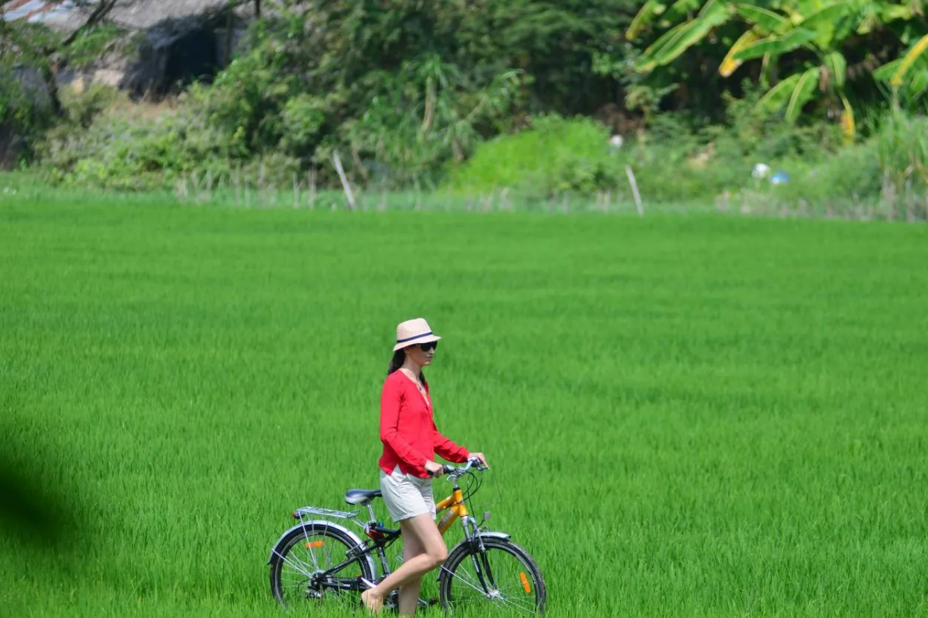 Top Things to Do in the Mekong Delta