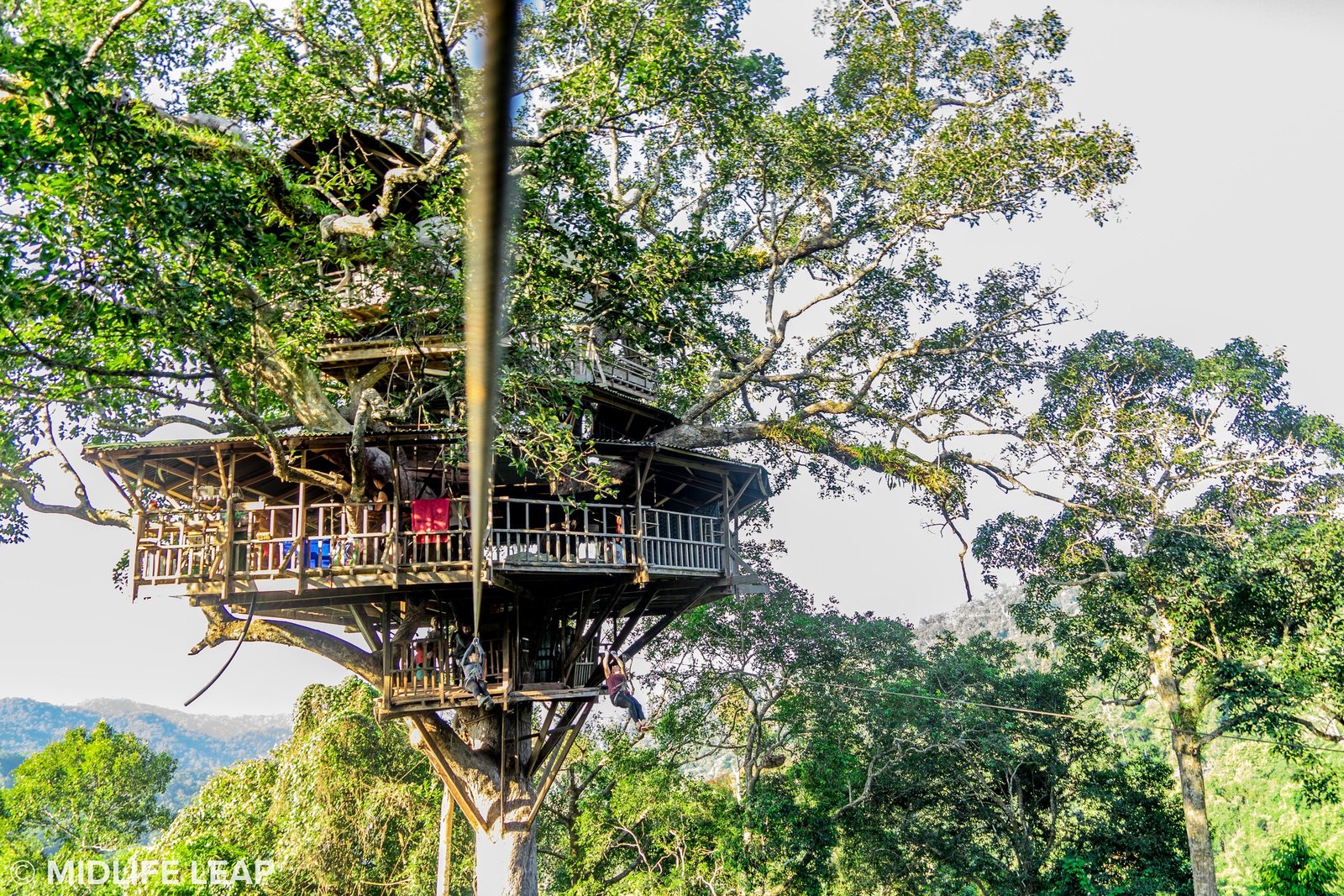 What is the Gibbon Experience