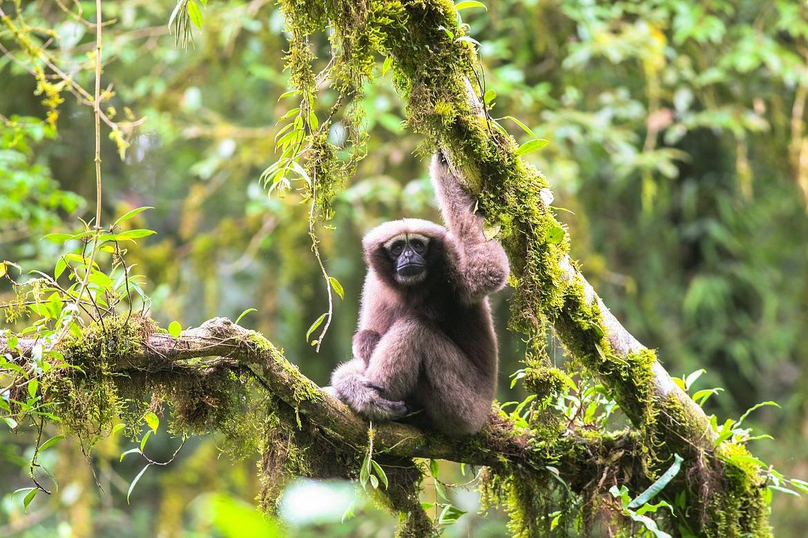 Wildlife Highlights
