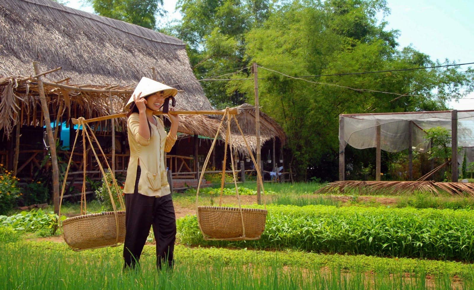 Suggested Itinerary: A Day in Hoi An with a Stop in Tra Que
