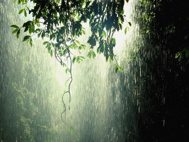 The Rainy Season in Vietnam