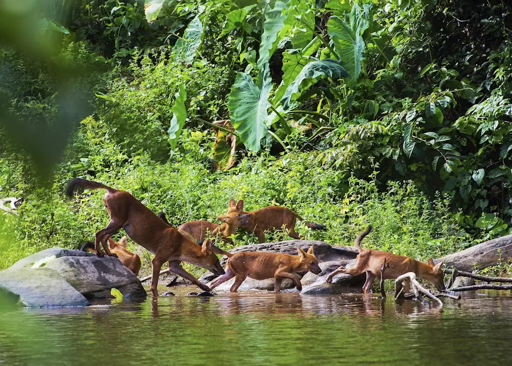 An Overview of Khao Yai National Park