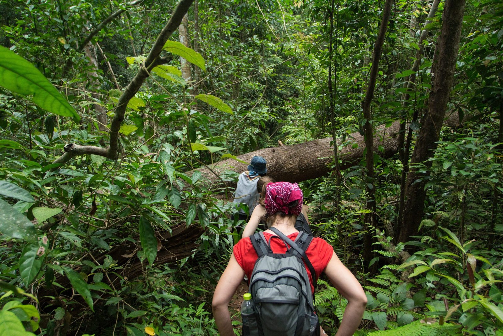 Best Time for Trekking in Thailand