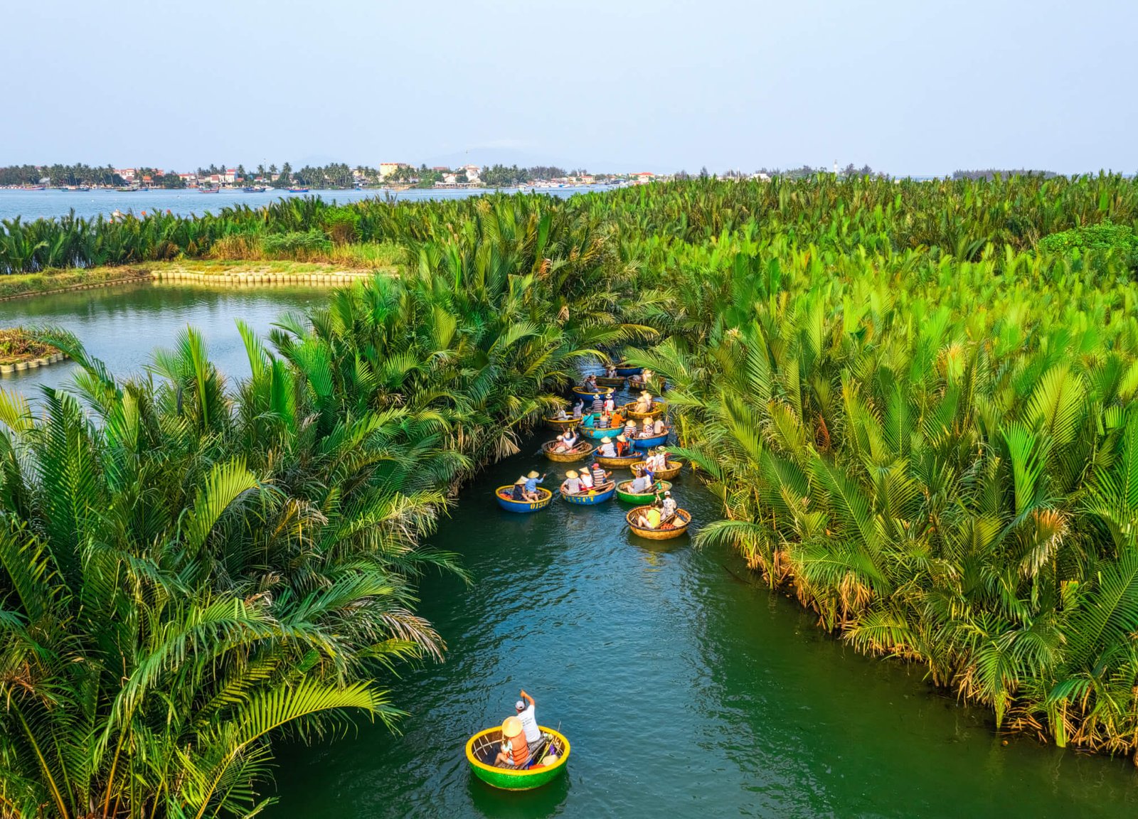 Coconut Palm Forest in Hoi An