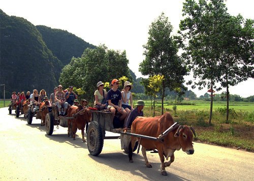 Other Things to Do in Van Long 