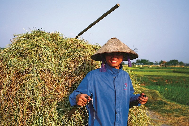 The Beauty of Harvest Season