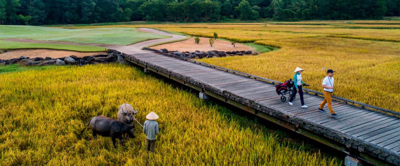 Top 10 Luxury Golf Courses in Vietnam 