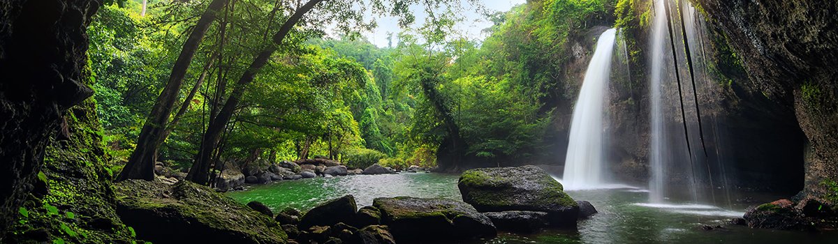 Khao Yai National Park Discovering Natural Beauty