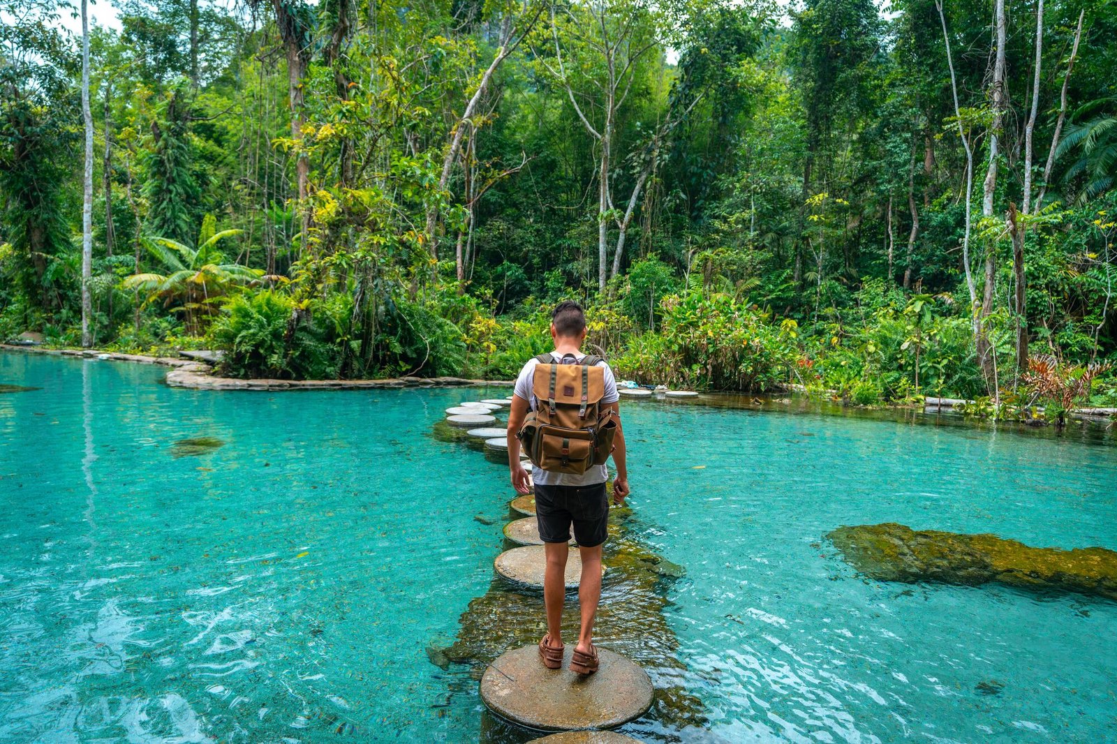 Must-See Attractions in Surat Thani