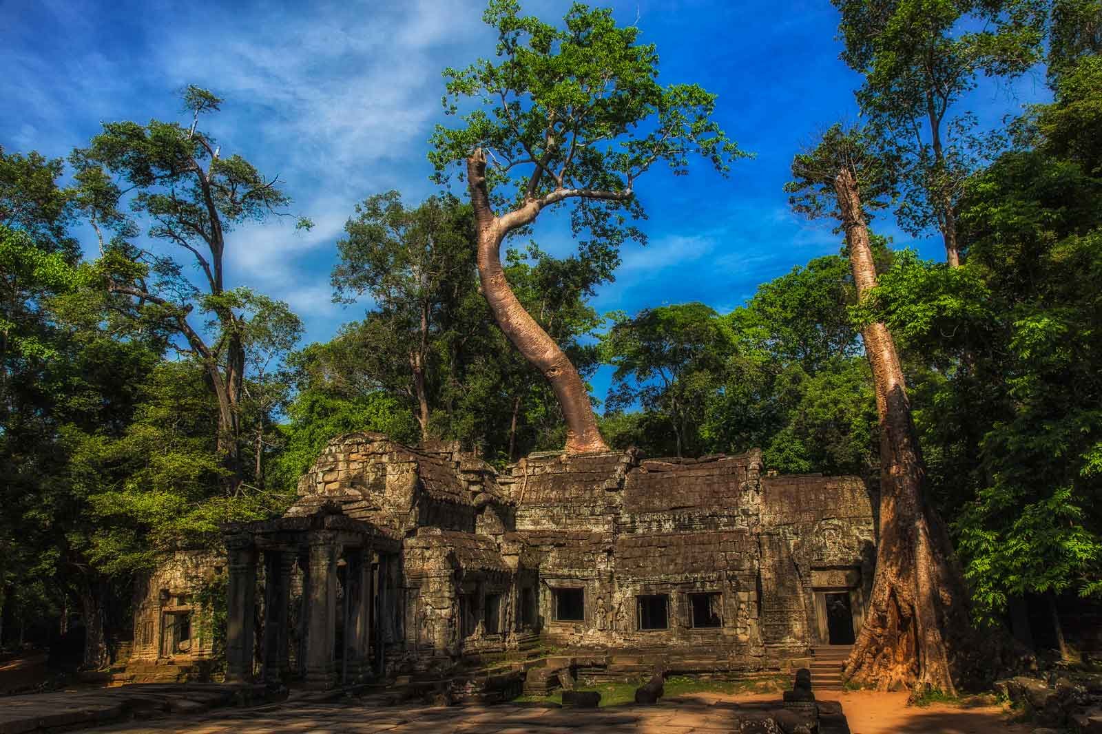 Practical Tips for a Successful Trip