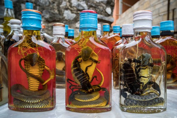 Snake Wine (Rượu Rắn)