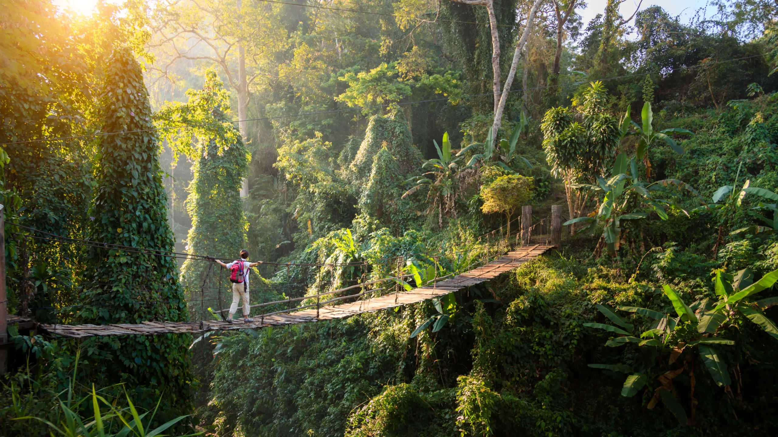 The Best Hiking Spots in Northern Thailand