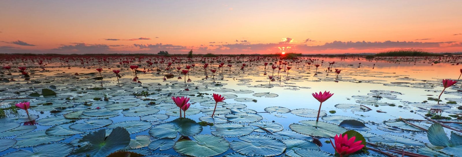 Udon Thani 6 Essential Questions for a Successful Trip