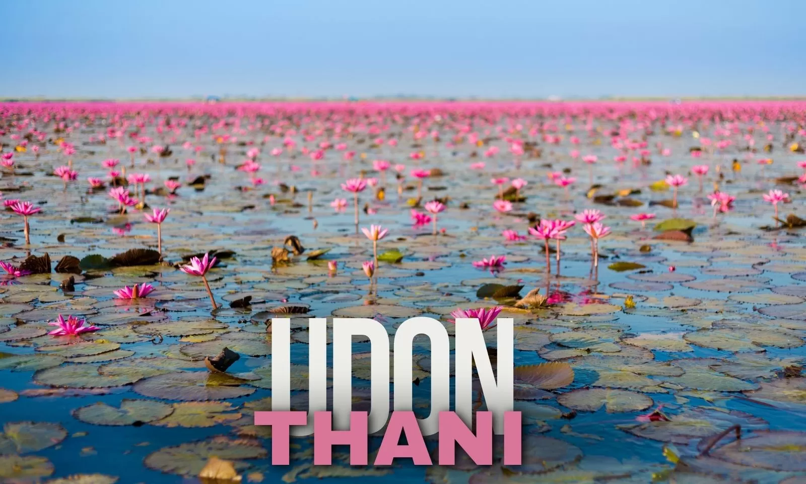 What Makes Udon Thani Special