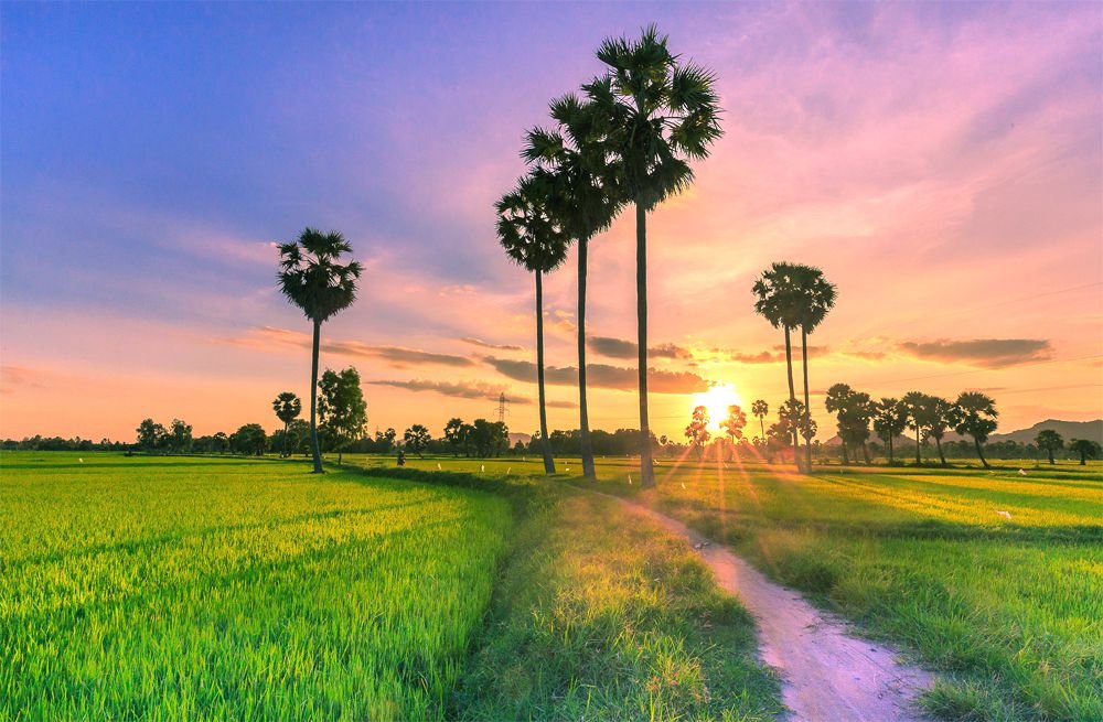 An Giang , Vietnam Travel Guide