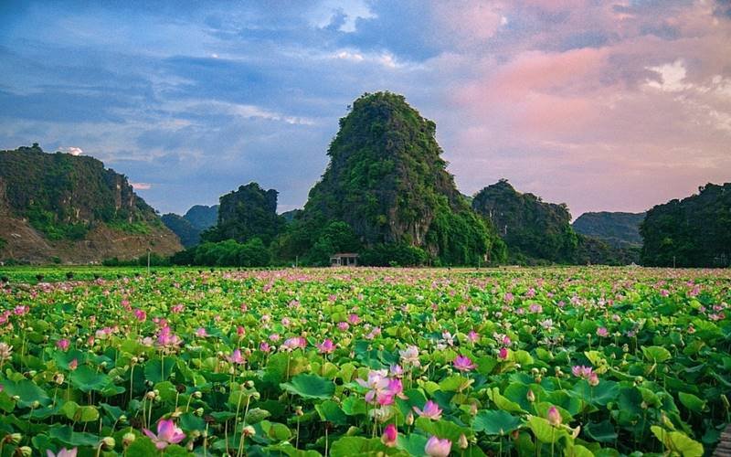 Best Time to Visit Van Long Nature Reserve 
