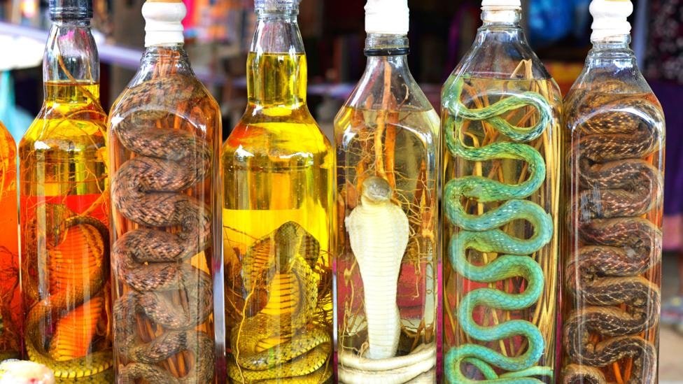 Snake Wine