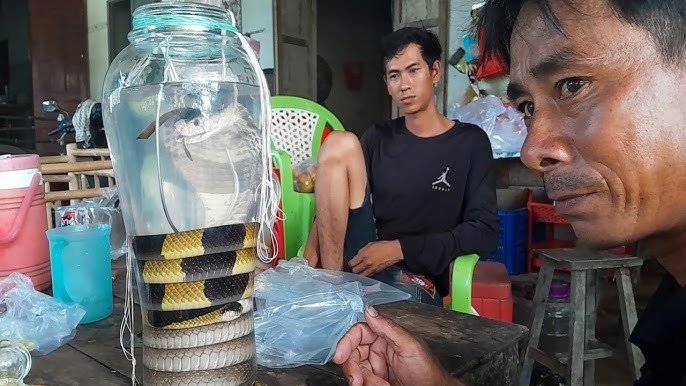 Where to Try Snake Wine in Vietnam