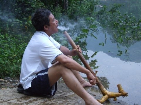 Common Questions About Thuốc Lào