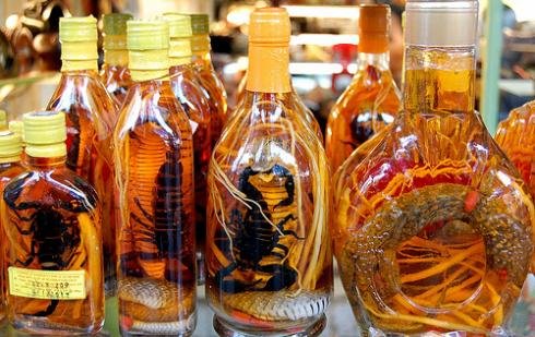 Beyond Snake Wine