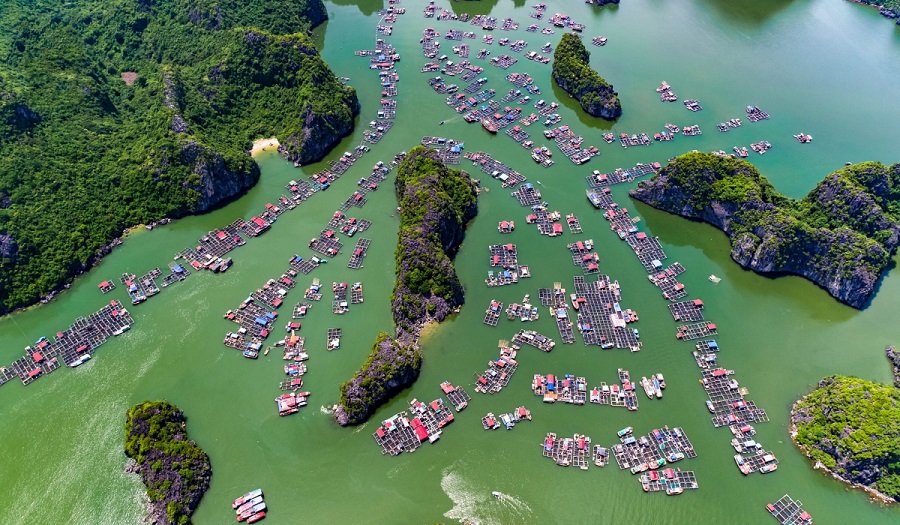 Lan Ha Bay Travel Guide