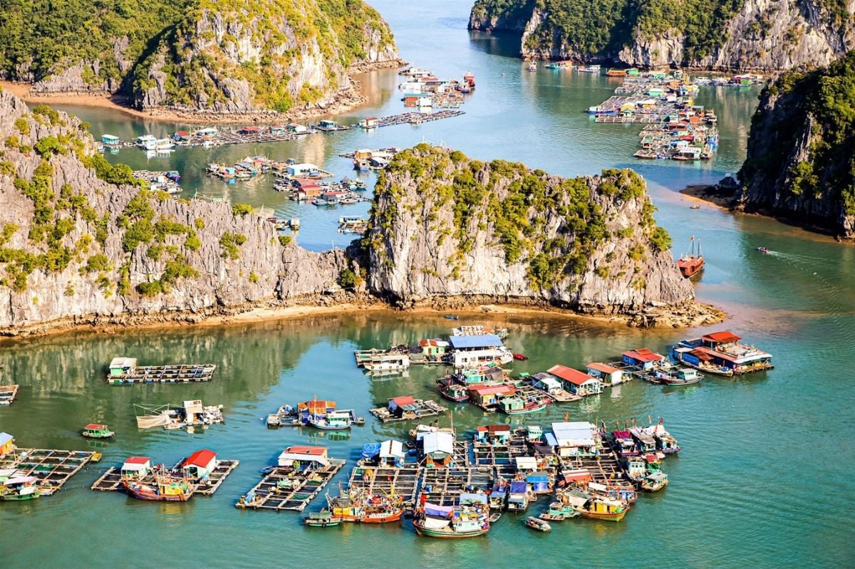 Sample Itineraries for Lan Ha Bay