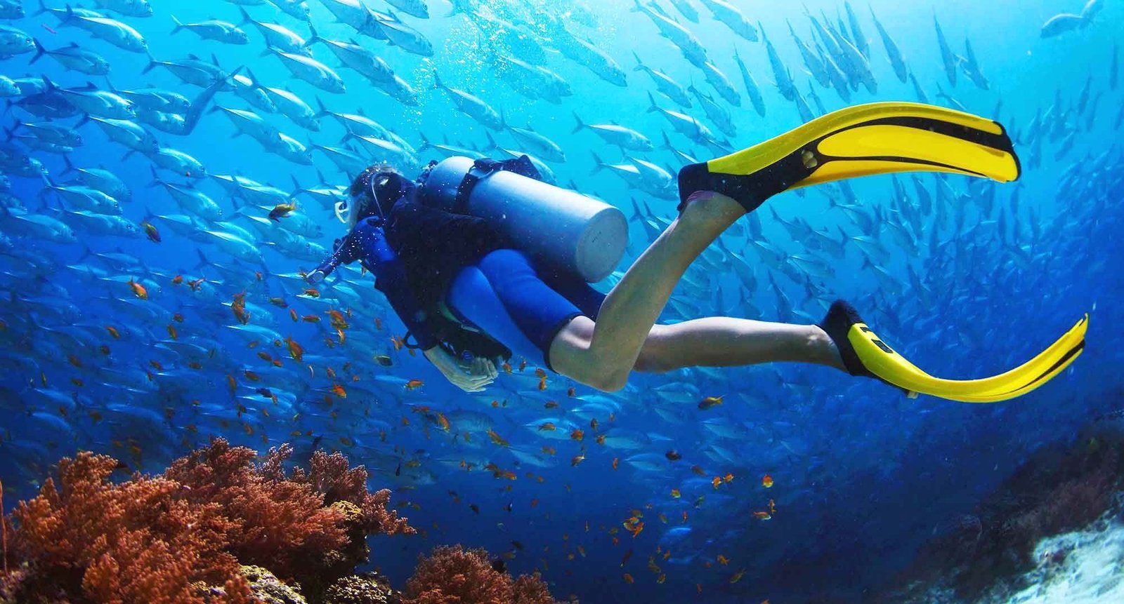 Essential Tips for Diving in Vietnam