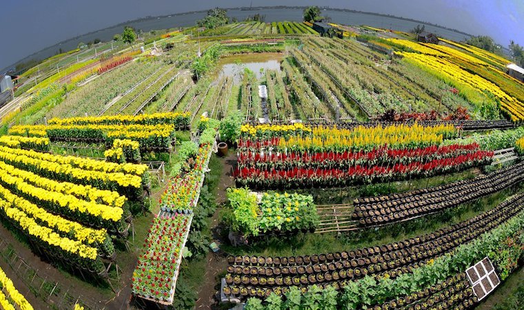 Sa Dec, Vietnam Travel Guide