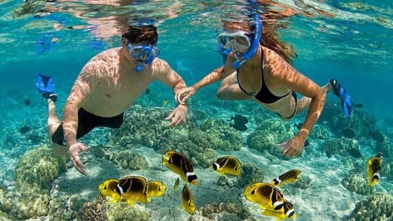Scuba Diving in Vietnam