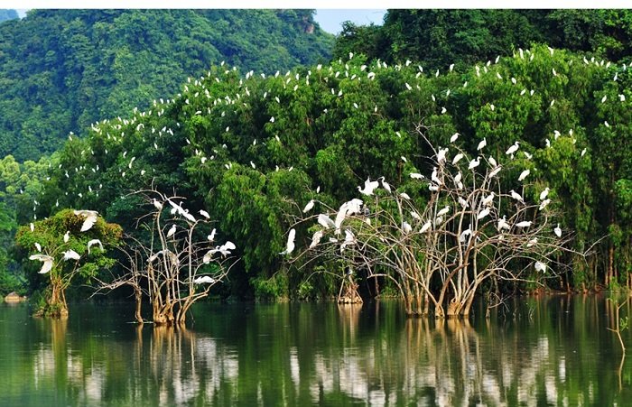 Best Things to Do in Ben Tre