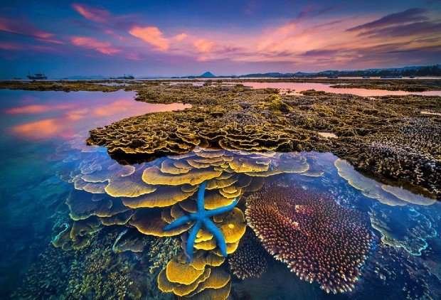 Best Time to Visit Phu Yen