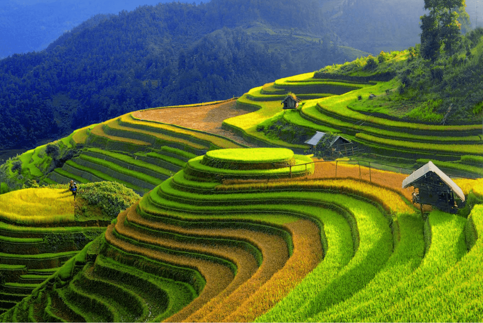 Yen Bai Vietnam