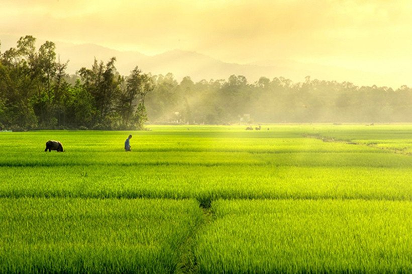 A Unique CultureRootedin Rice and Street Life