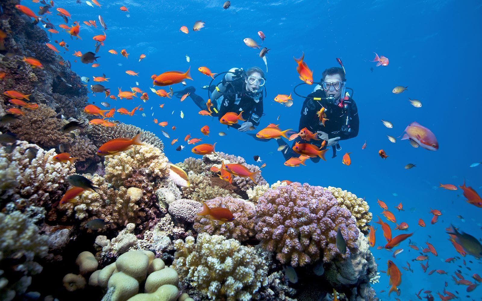 Top 10 Diving Spots in Vietnam
