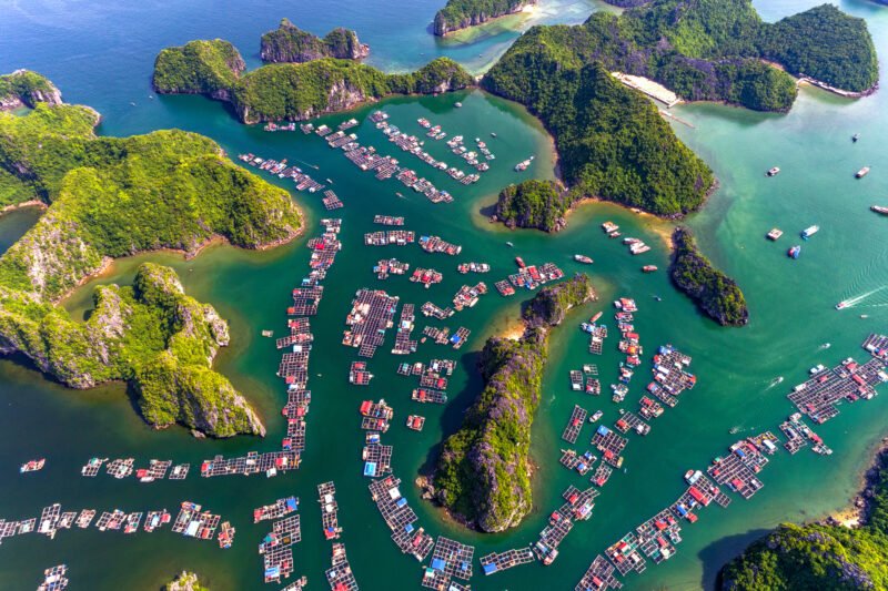 What Does Cat Ba Have in Common with Halong Bay?