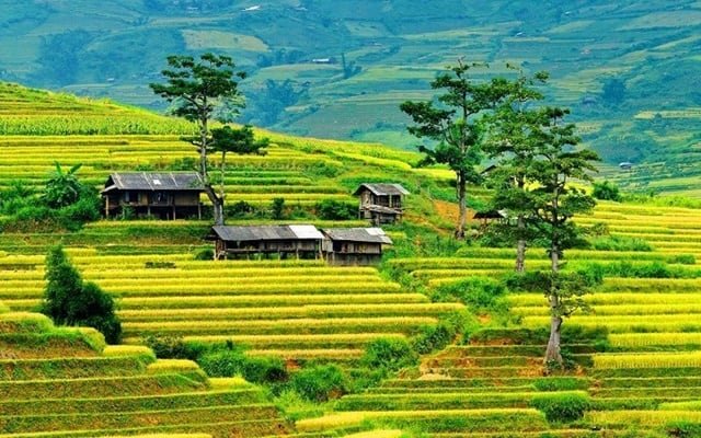 Best Time to Visit Yen Bai