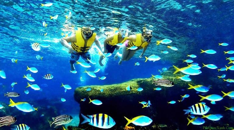Top 10 Diving Spots in Vietnam